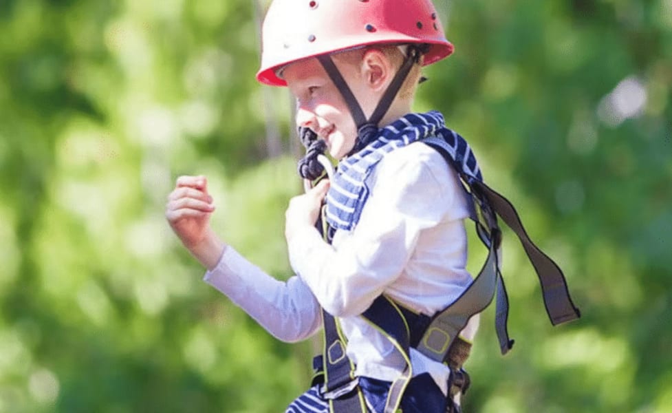 Full Zipline Tour At Coral Crater Adventure Park (6 Lines), Oahu - 2 Hours