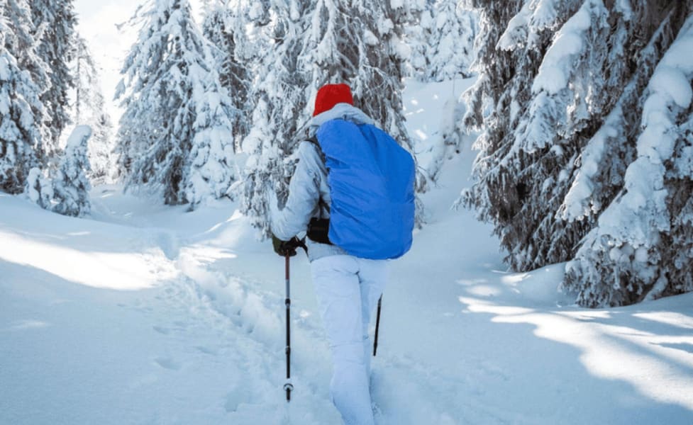 Snowmobile And Snowshoe Adventure In Kenai Fjords National Park, Alaska - 3.5 Hours