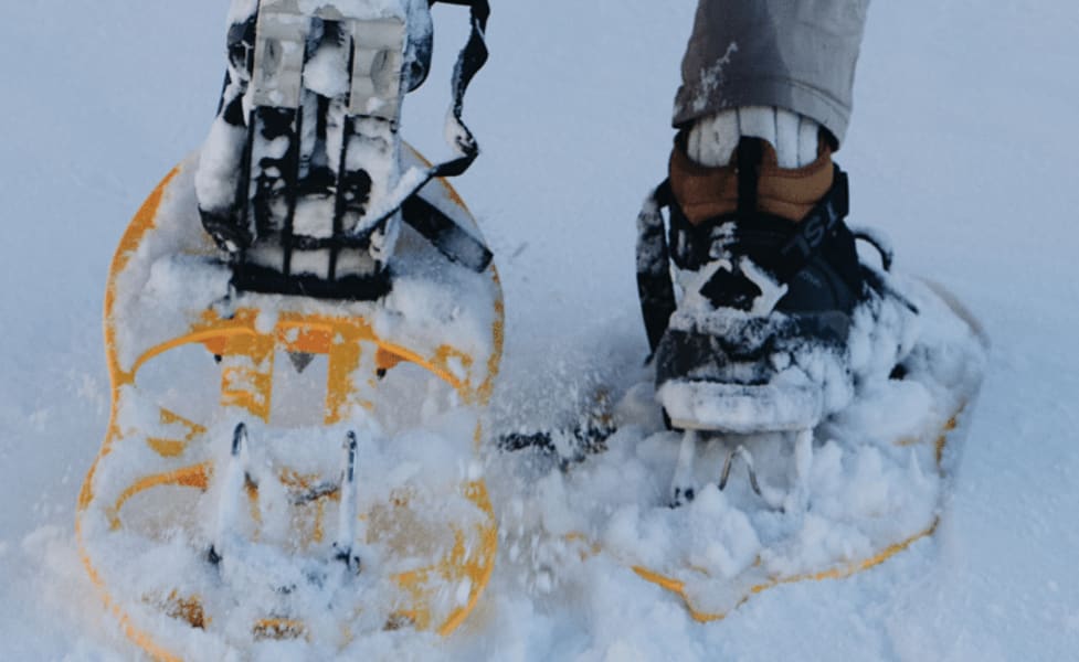 Guided Snowshoeing Adventure From Seward, Alaska - 3 Hours