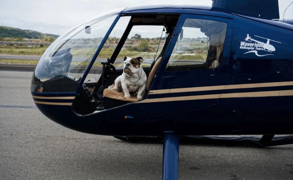 Helicopter Tour Oceanside To San Diego And Coronado - 65 Minutes (3rd Passenger Rides For Free!)