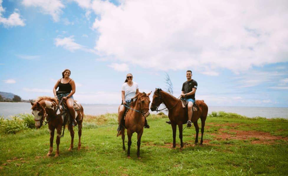 Oceanfront Horseback Riding Tour North Shore Oahu - 45 Minutes