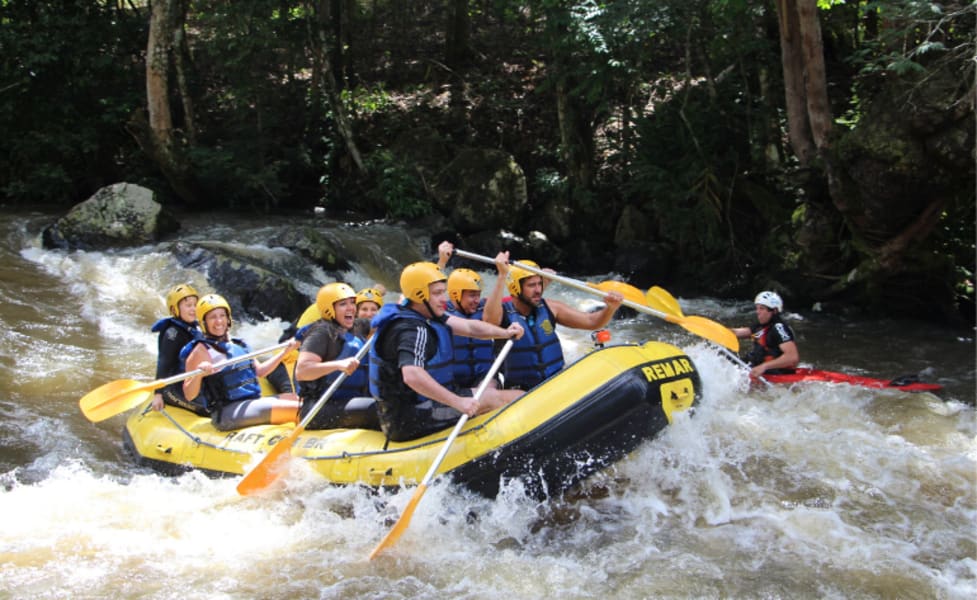 Whitewater Rafting Jackson Hole, Snake River - 3 Hour Classic Raft