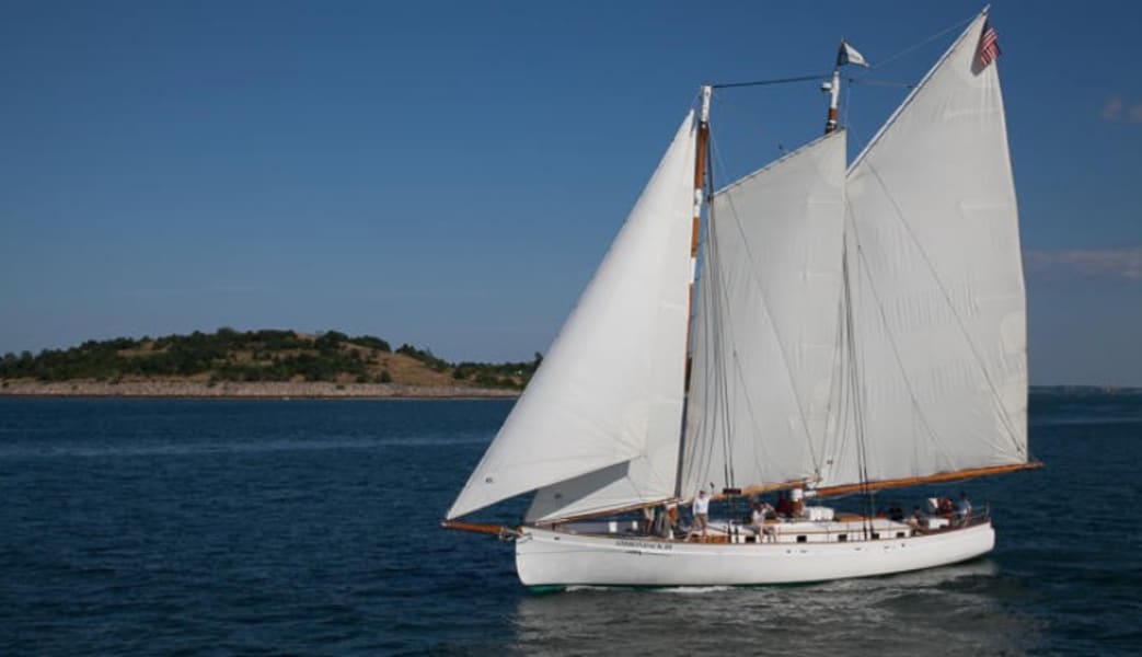 Boston Harbor Day Sail - 1.5 Hours