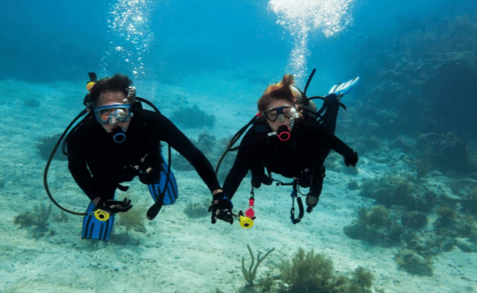 Private Scuba Diving Charter, Waikiki (Up To 21 Guests!)