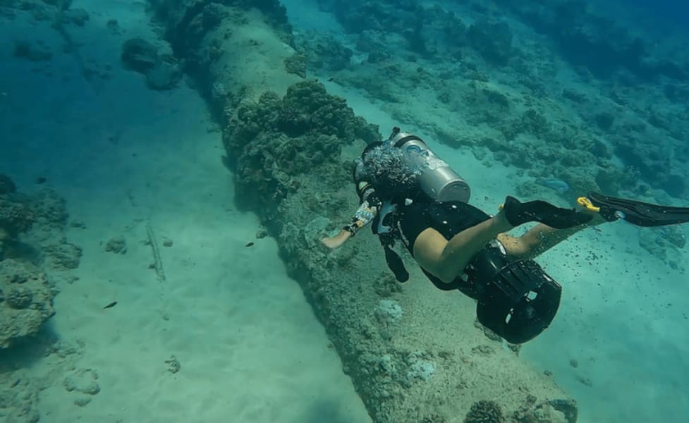 Scuba Diving For Non Certified Divers, Waikiki - 2 Hours