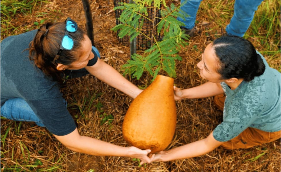 Oahu Malama Gardening Experience, Kualoa Ranch - 2 Hours