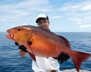 Deep Sea Fishing Charter Miami - up to 6 people, 6 Hours