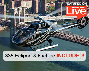 Helicopter Tour New York City - 20 Minutes