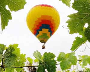 Hot Air Balloon Ride Temecula - 1 Hour Sunrise Flight