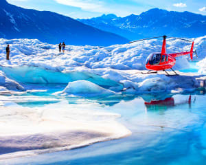 Dog Sled Ride with Helicopter Flight, Anchorage - 1 Hour 35 Minutes