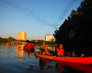 Kayak Tour Austin, Congress Ave Bridge Bat Tour - 2 Hours