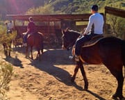 Horseback Riding Phoenix - 2 Hours 30 Minutes