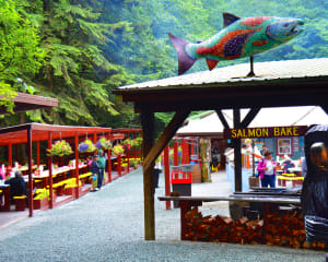 The Ultimate Juneau Experience, Whale Watching and Gold Creek Salmon Bake - 6 Hours