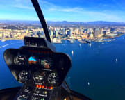 Private Helicopter Tour Oceanside and Carlsbad - 15 Minutes (3rd Passenger Rides for Free!)