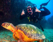 Oahu Shallow Reef Dives - 4 Hours