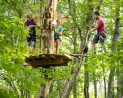 Zipline Treetop Adventure Virginia, Springfield - 3 Hours