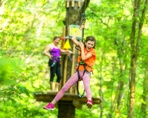 Zipline Treetop Adventure, Richmond, Williamsburg, 3 Hours