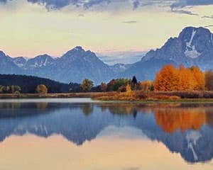 Jackson Hole Summer & Fall Wildlife Sunrise Safari, Grand Teton National Park - Half Day