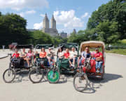 Pedicab Guided Tour, Central Park - 1 Hour