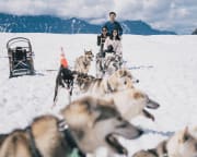 Helicopter Tour Knik River Valley with Glacier Landing and Dogsled Tour, Anchorage - 2 Hours