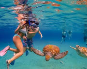 Oahu Complete Island Full Day Guided Tour, 9 Hrs