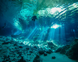 Glass Bottom Boat Reef Tour, Cancun - 2 Hours