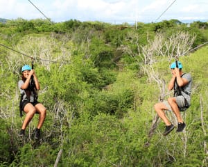 Half Zipline Tour at Coral Crater Adventure Park (3 Lines), Oahu - 1 Hour