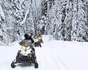 Snowmobile Classic Tour in Kenai Fjords National Park, Alaska - 2 Hours