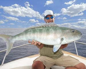 Deep Sea Fishing from Biscayne Bay, Miami - 4 Hours