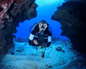 Private Scuba Diving Charter, Waikiki (Up to 21 Guests!)