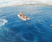 Snorkeling Tour Waikiki - 2 Hours