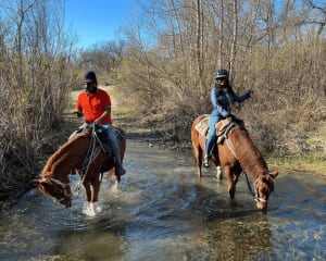 Private Santa Ynez Valley Horseback Riding - 60 Minutes