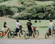 Oahu E-Bike Guided Adventure, Kualoa Ranch - 2 Hours