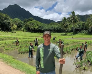 Oahu Kualoa Grown Tour, Kualoa Ranch - 90 Minutes