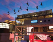 Open-Top Bus Night Tour and Fly LINQ Zipline Experience, Las Vegas - 3 Hours