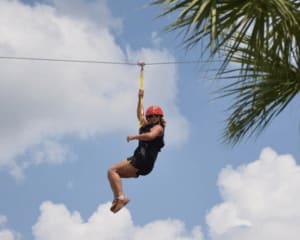 Gatorland Ziplining and Croc Rock Adventure, Orlando - 45 Minutes