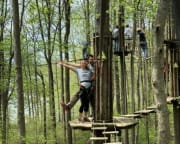 Beginner Zipline and Aerial Course Adventure Delaware, Bear - 1 Hour