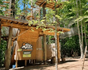 Beginner Zipline and Aerial Course Adventure Virginia, Springfield - 1 Hour