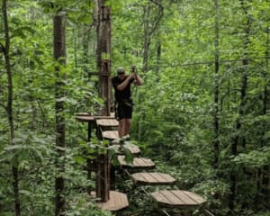 Beginner Zipline and Aerial Course Adventure Richmond, Williamsburg - 1 Hour