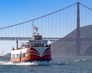 Golden Gate Bay Cruise, San Francisco - 1 Hour