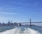 San Francisco Bridge to Bridge Cruise - 90 Minutes