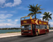 Guided City Tour and Biscayne Bay Cruise, Miami - 5 Hours