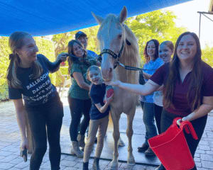 Interactive Barn Hand Experience, Orlando - 80 Mins