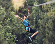 Zipline Treetop Adventure, Arlington - Unlimited Summer Season Pass