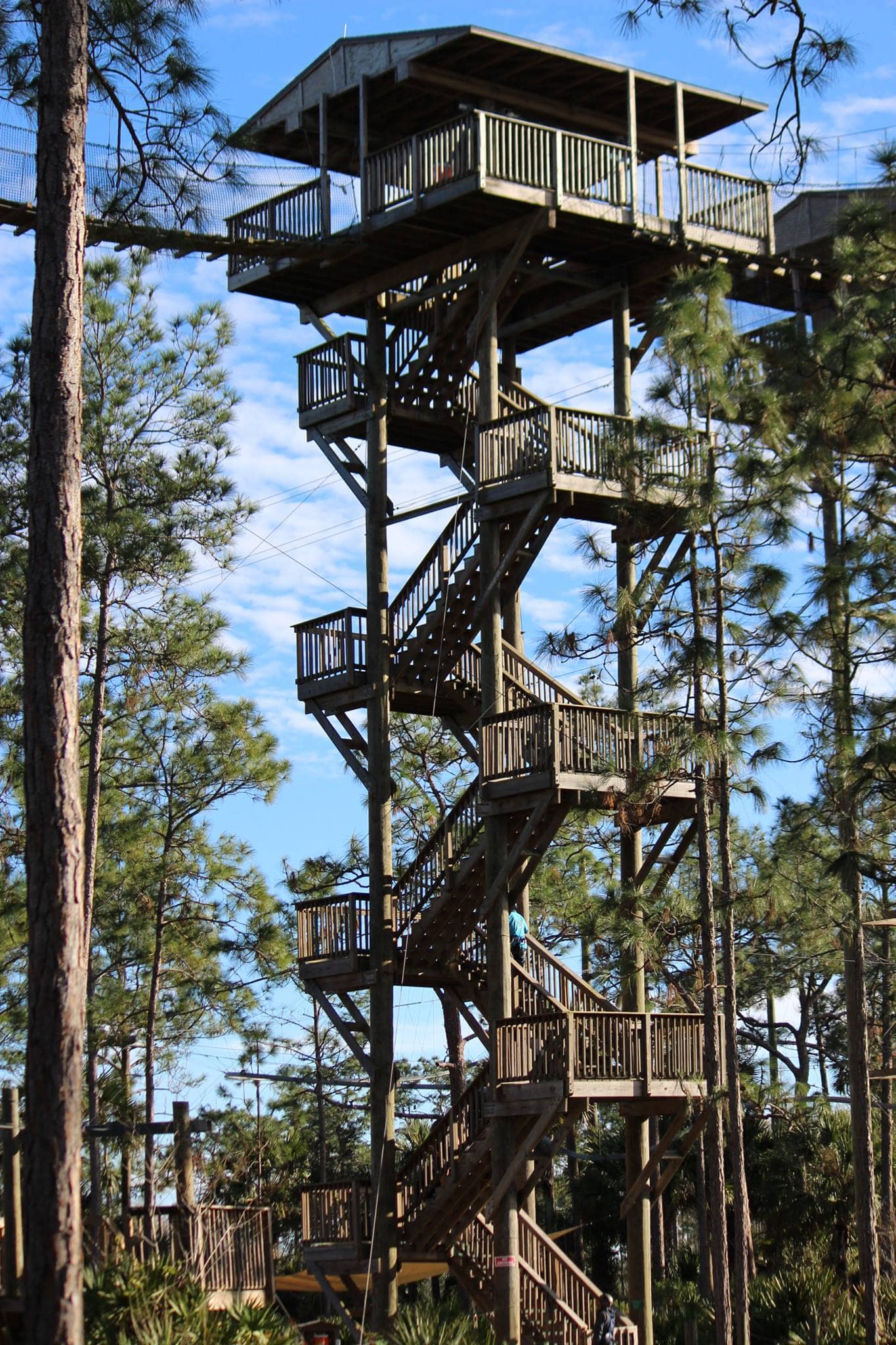 ziplining orlando the adventure