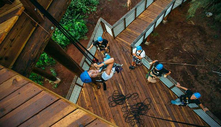 Zipline Oahu Looking Up