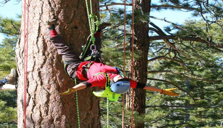 Big Bear Lake Tree Rope Climbing