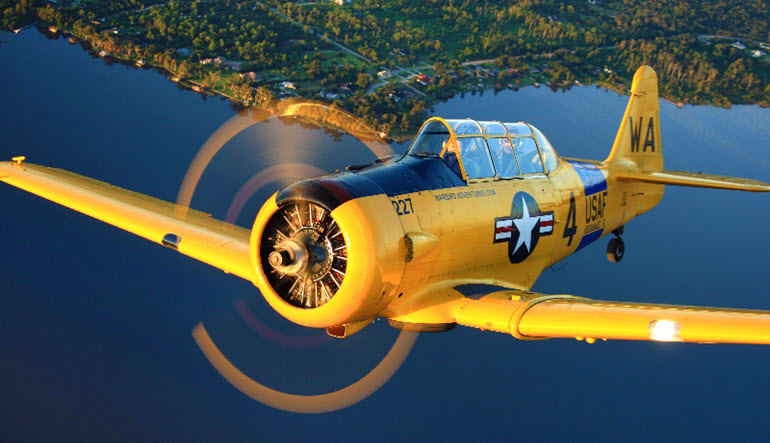 Warbird Flight and Piloting, South Carolina- 30 Minute Flight
