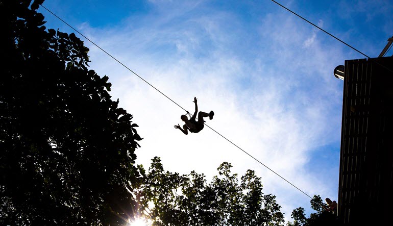 Zipline Treetop Adventure Shadow