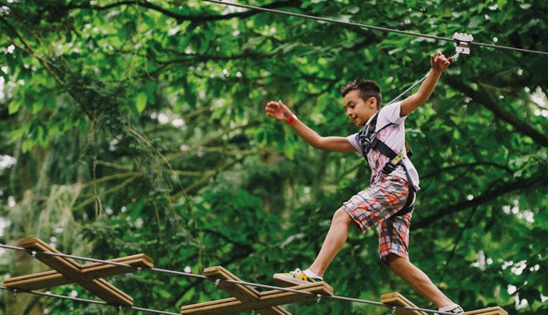 Zipline Treetop Adventure Delaware Child